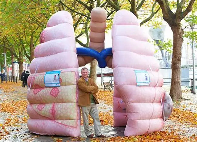 Large Inflatable Realistic Lung Model for Display