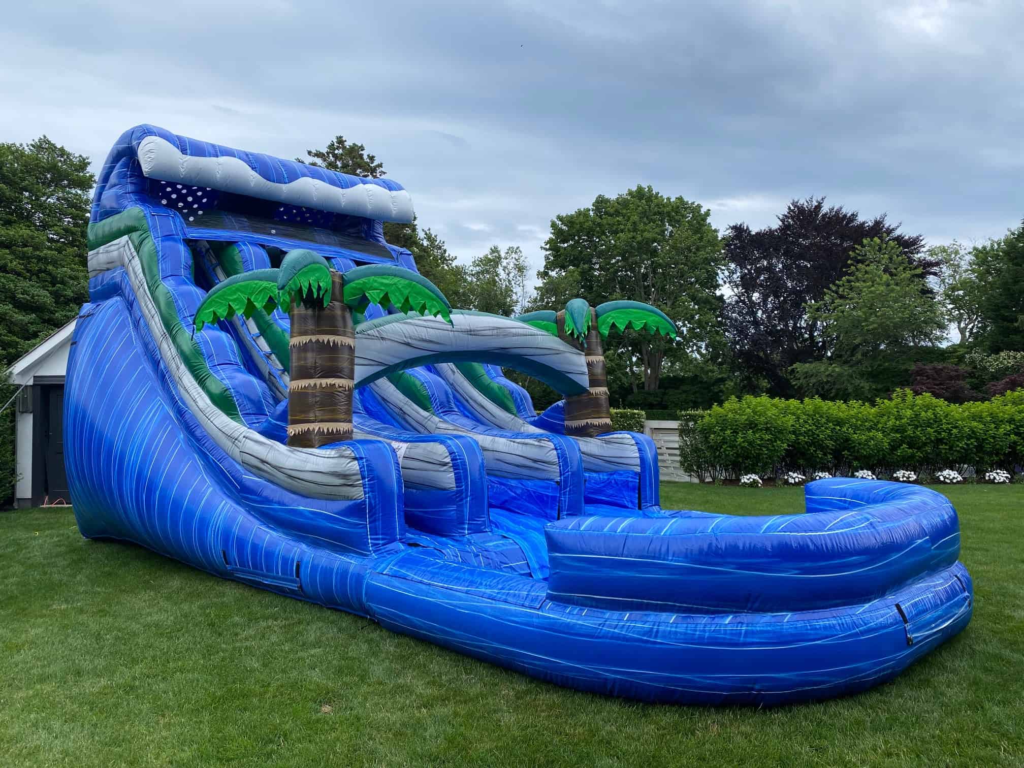 20ft Dual Lane Tropical WAVE Water Slide