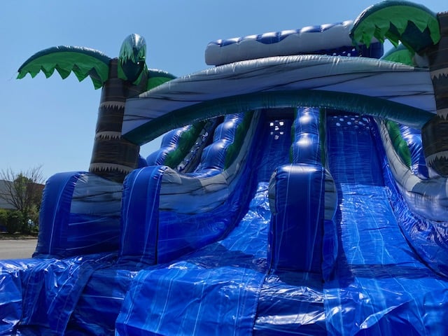 20ft Dual Lane Tropical WAVE Water Slide