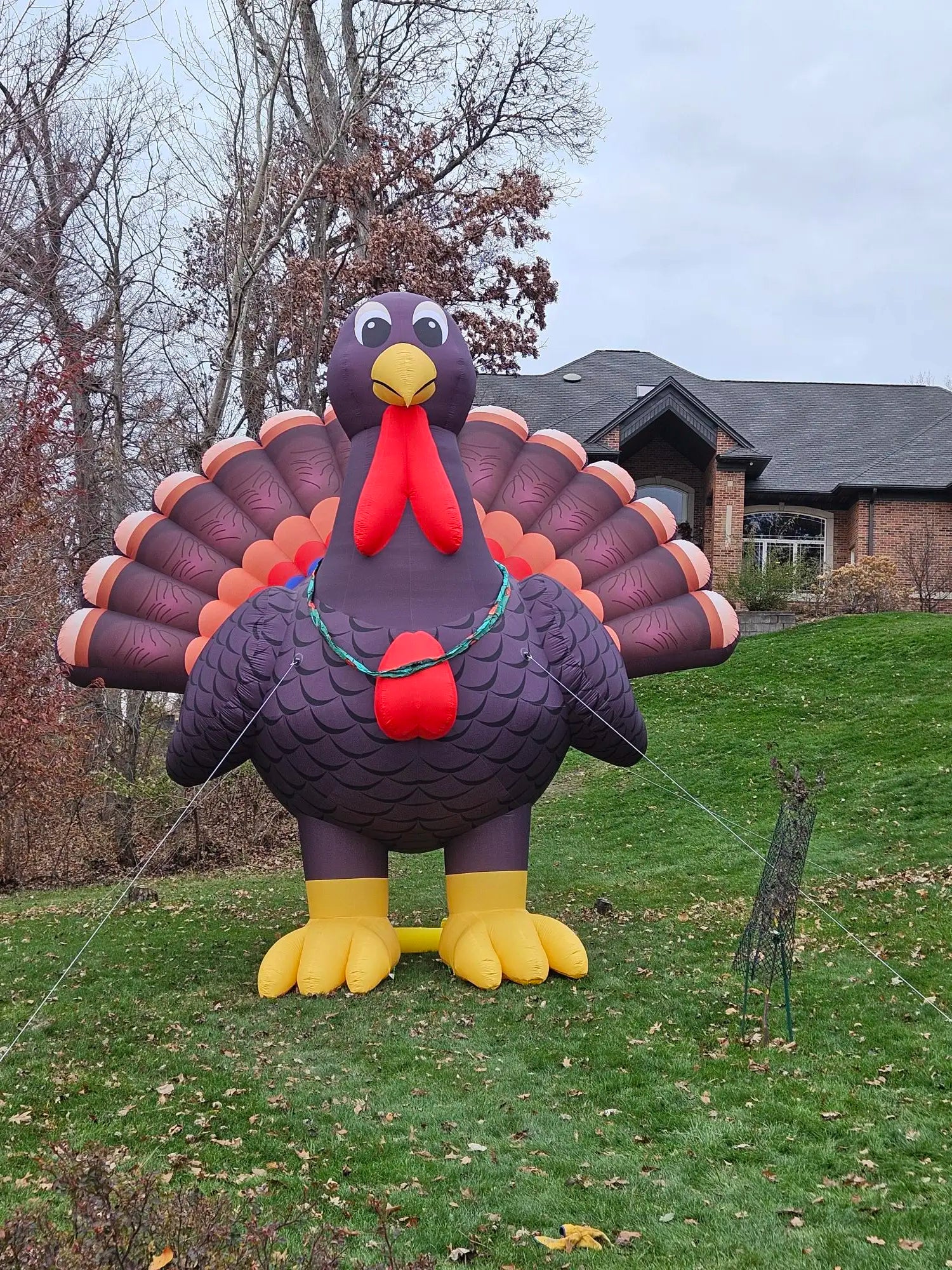 Giant Inflatable Turkey