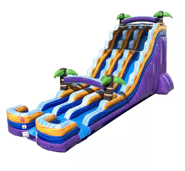 Double Lane Tropical Inflatable Water Slide Fun