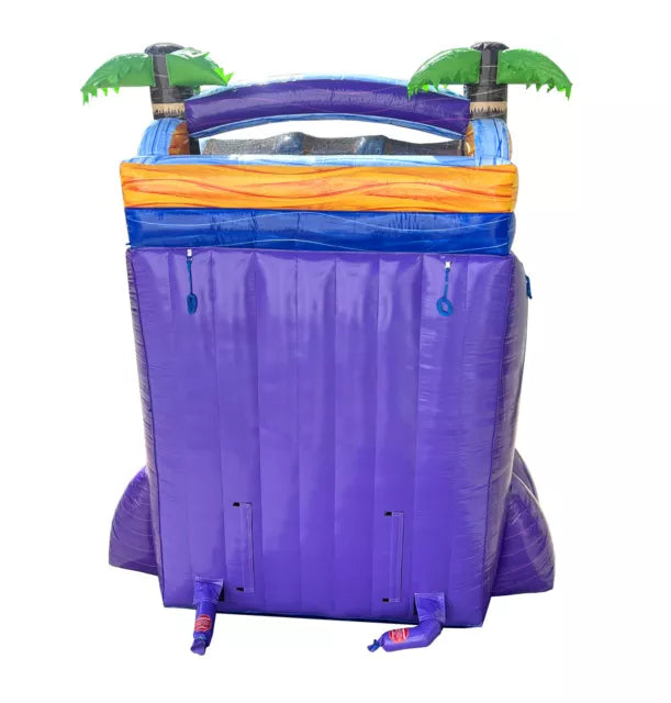 Double Lane Tropical Inflatable Water Slide Fun