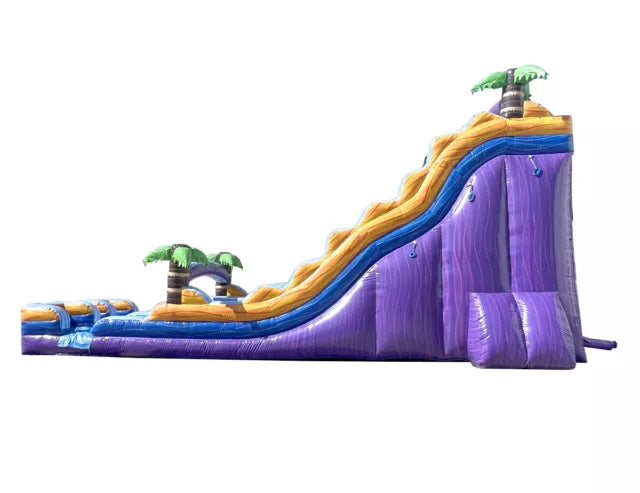 Double Lane Tropical Inflatable Water Slide Fun