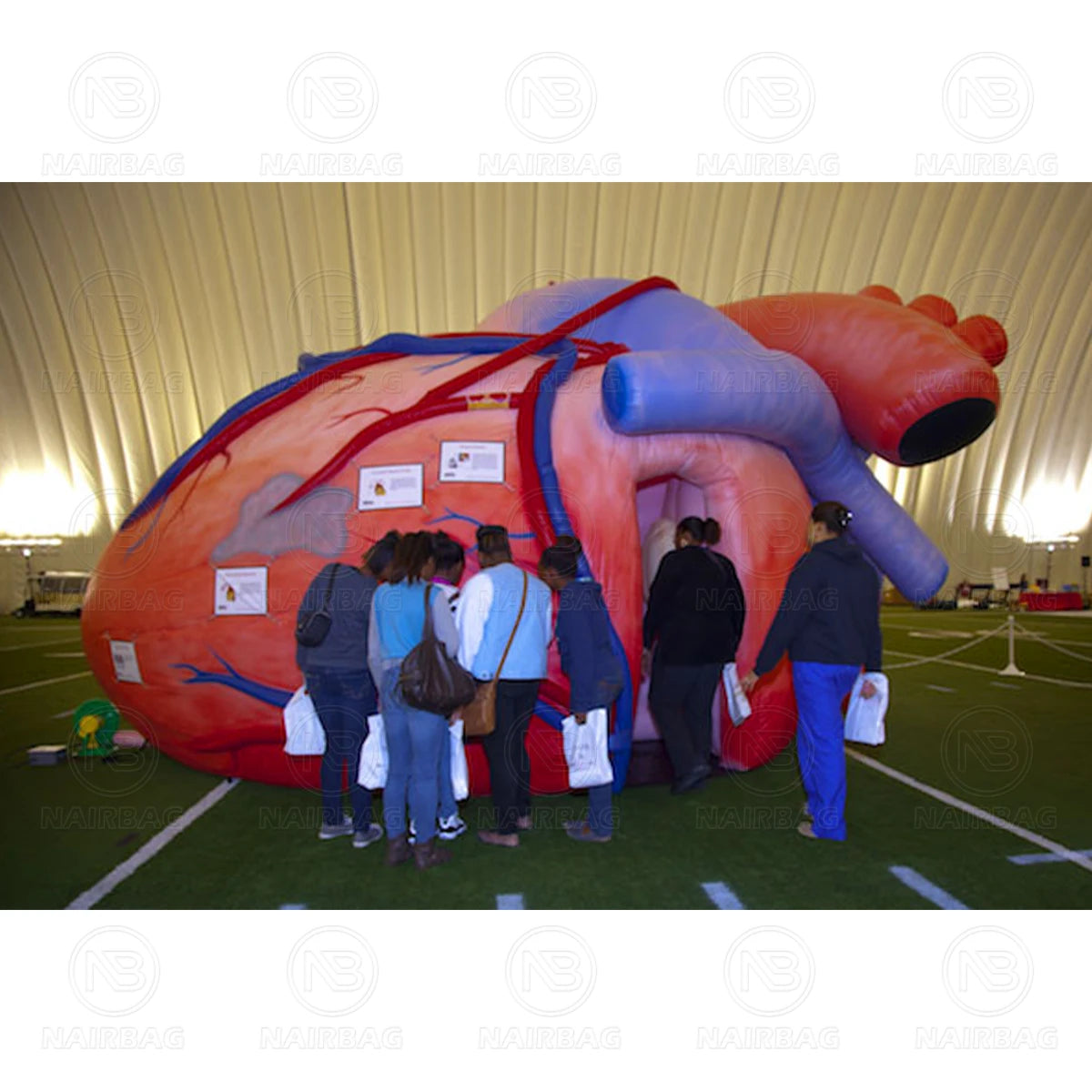 Giant Inflatable Heart Model for Medical Exhibitions