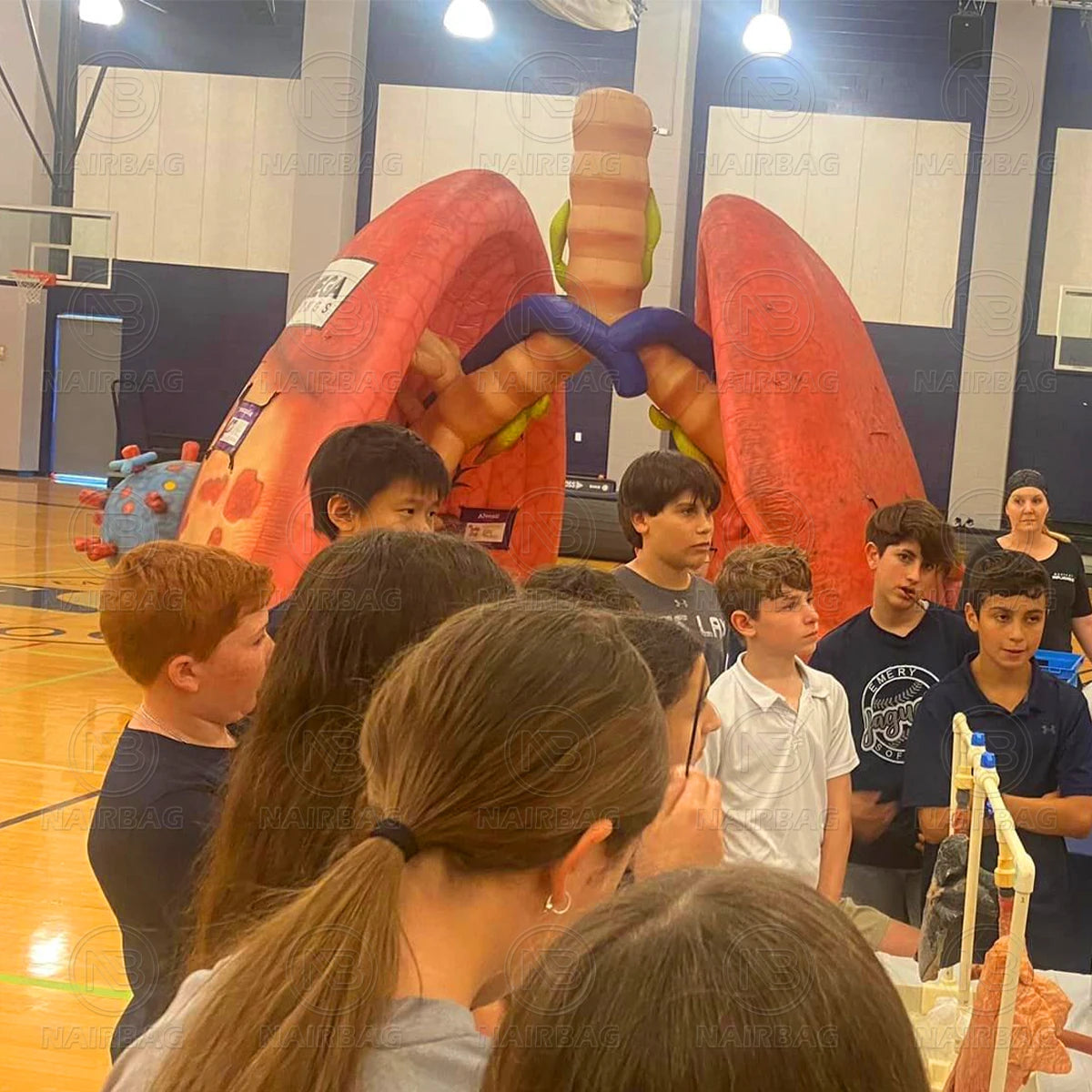 Giant Inflatable Lung Model for Medical Exhibitions