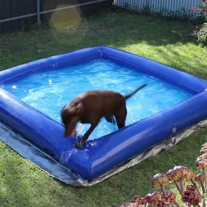 PVC Inflatable Dog Pool Foldable Pet Swimming Pool 6.5 FT