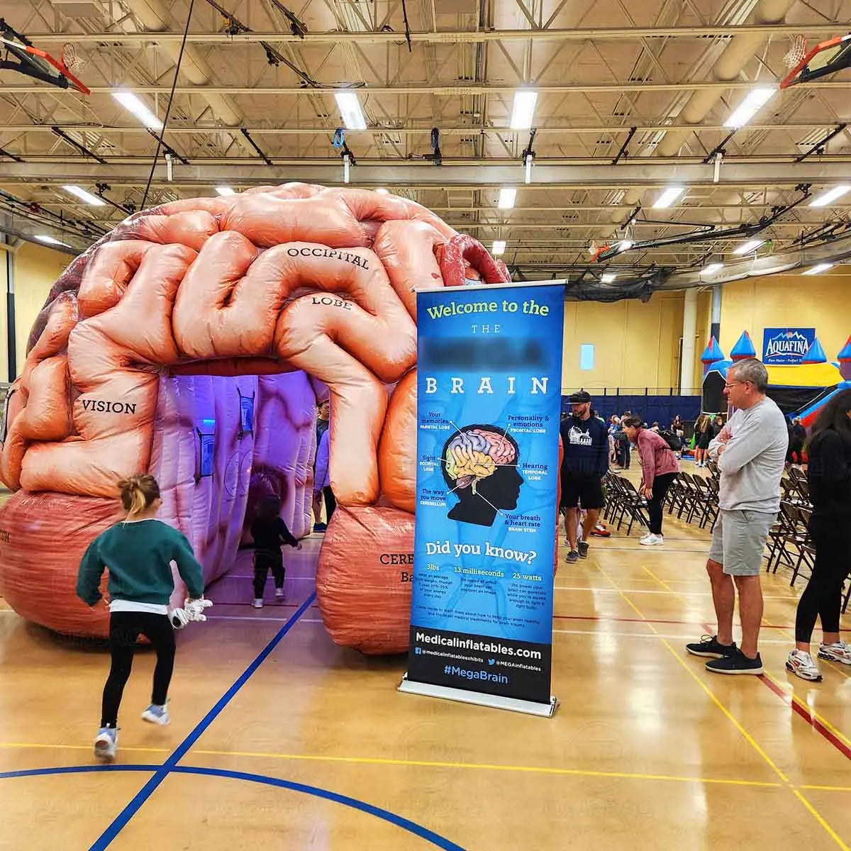 Modèle de cerveau gonflable pour expositions médicales et publicités