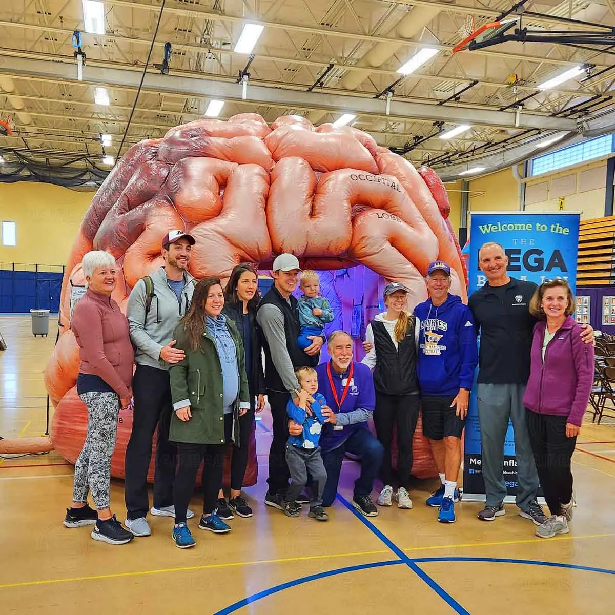 Modèle de cerveau gonflable pour expositions médicales et publicités