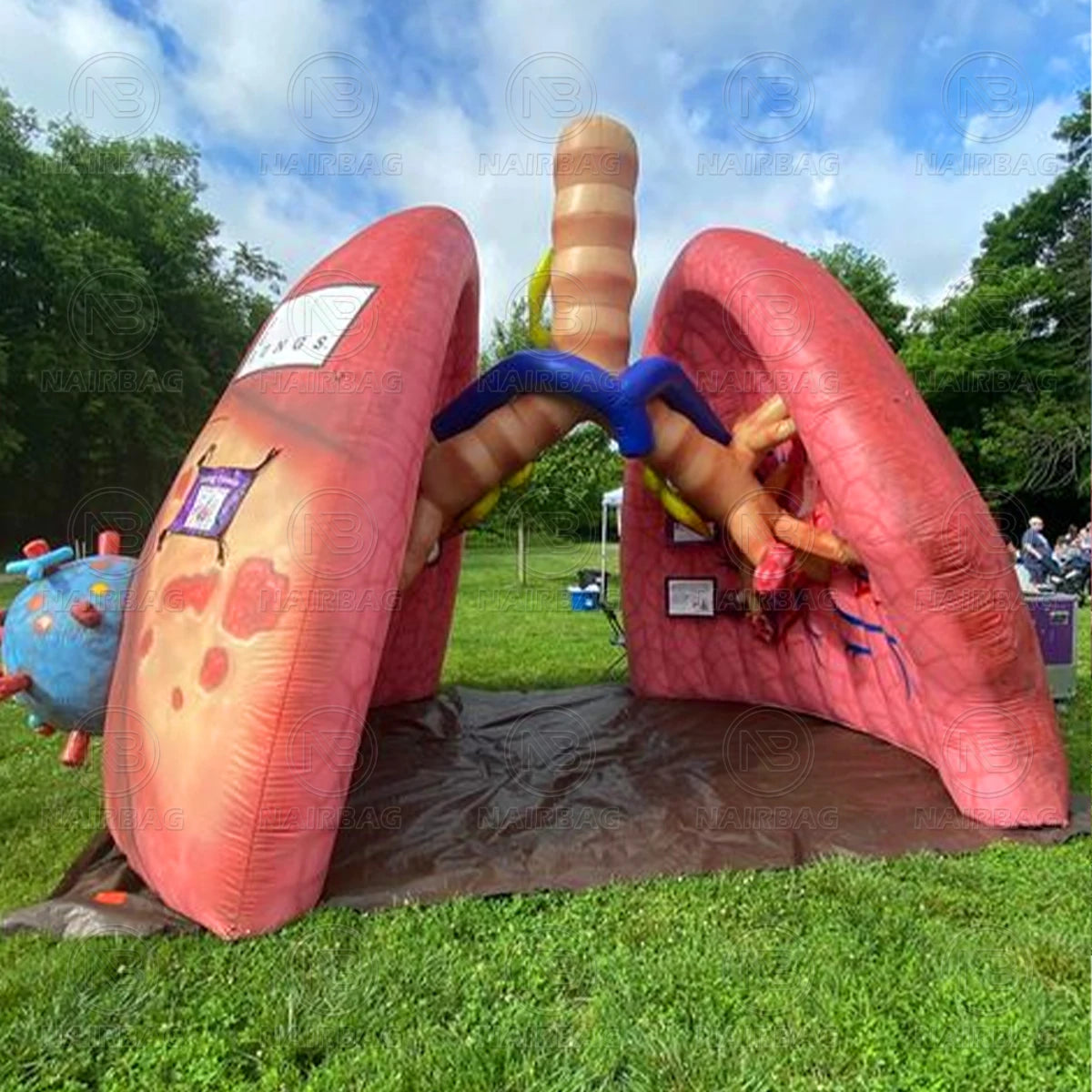 Giant Inflatable Lung Model for Medical Exhibitions
