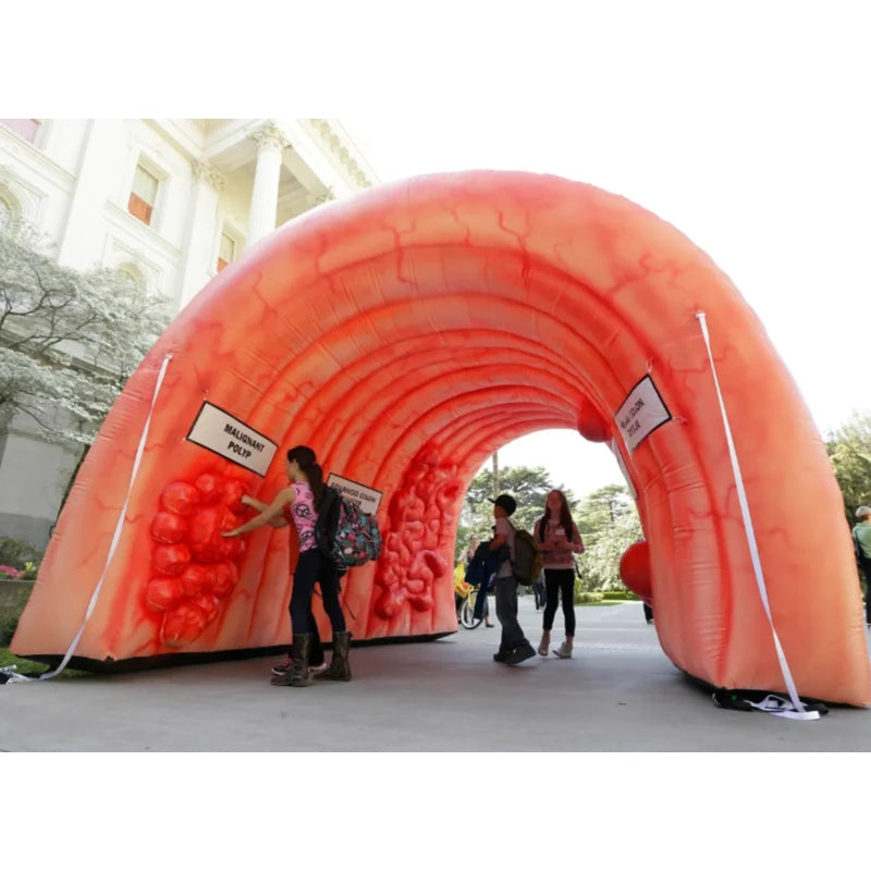 Inflatable Colon Tunnel Durable Educational Display