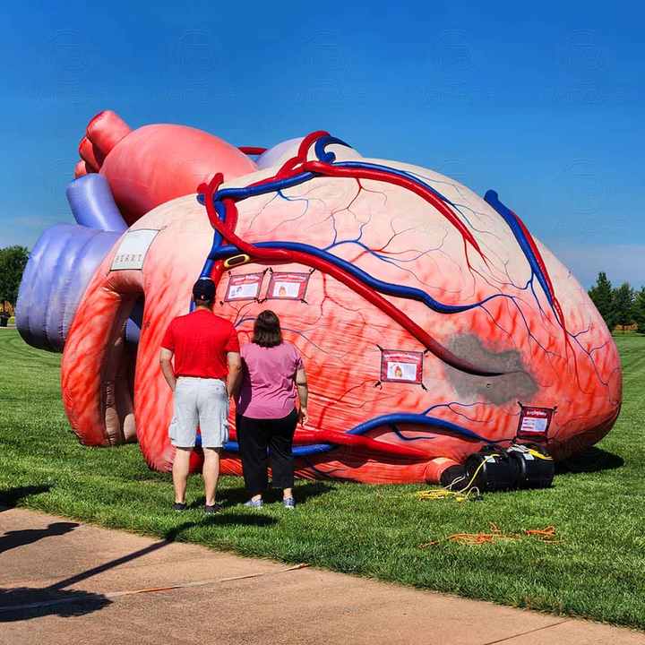 Giant Inflatable Heart Model for Medical Exhibitions