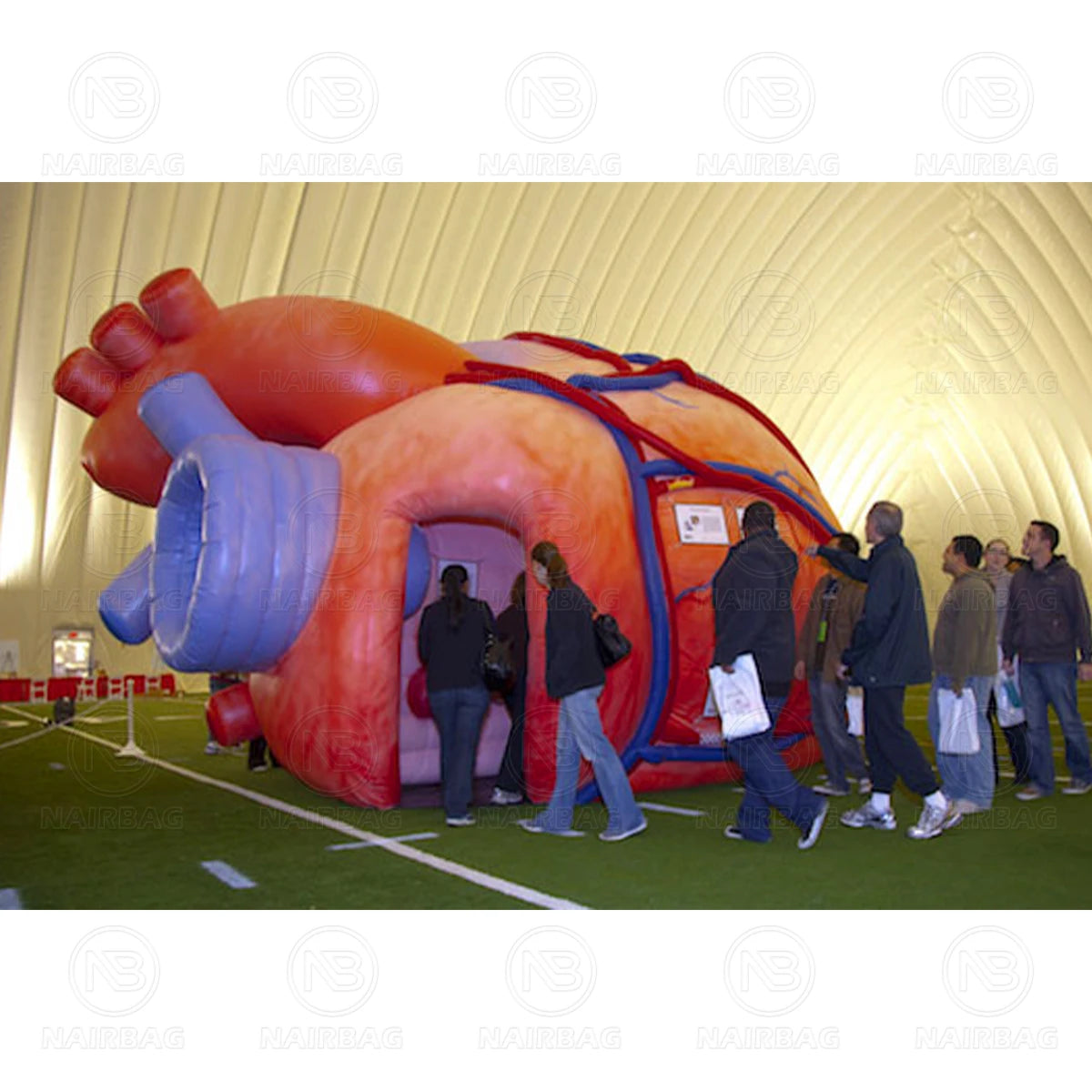 Giant Inflatable Heart Model for Medical Exhibitions