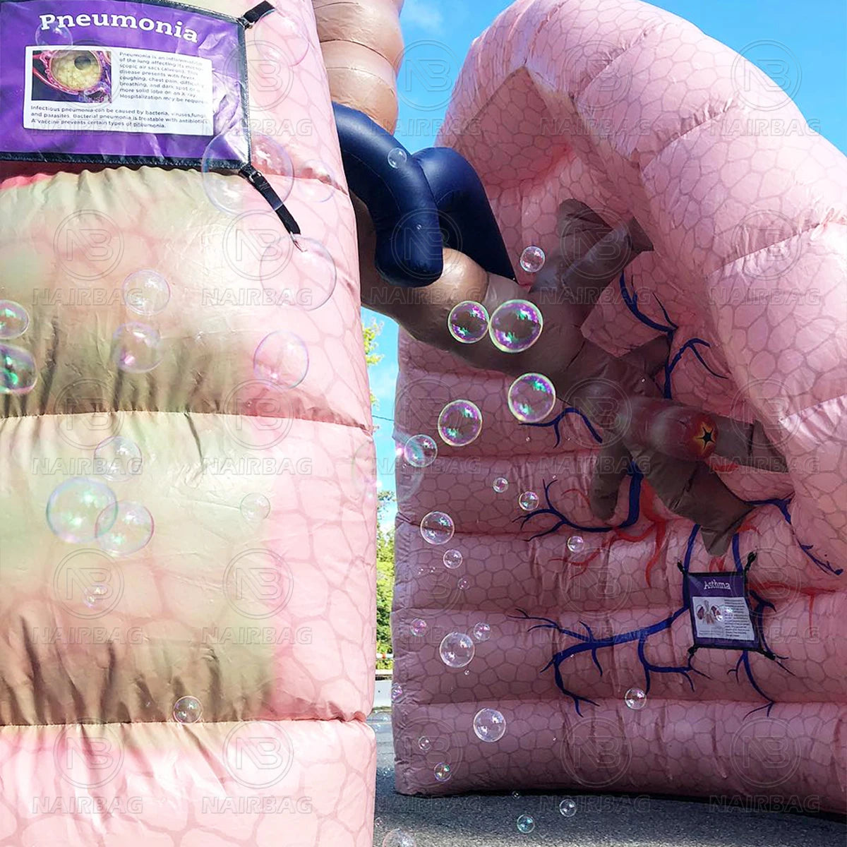 Giant Inflatable Lung Model for Medical Teaching Exhibits