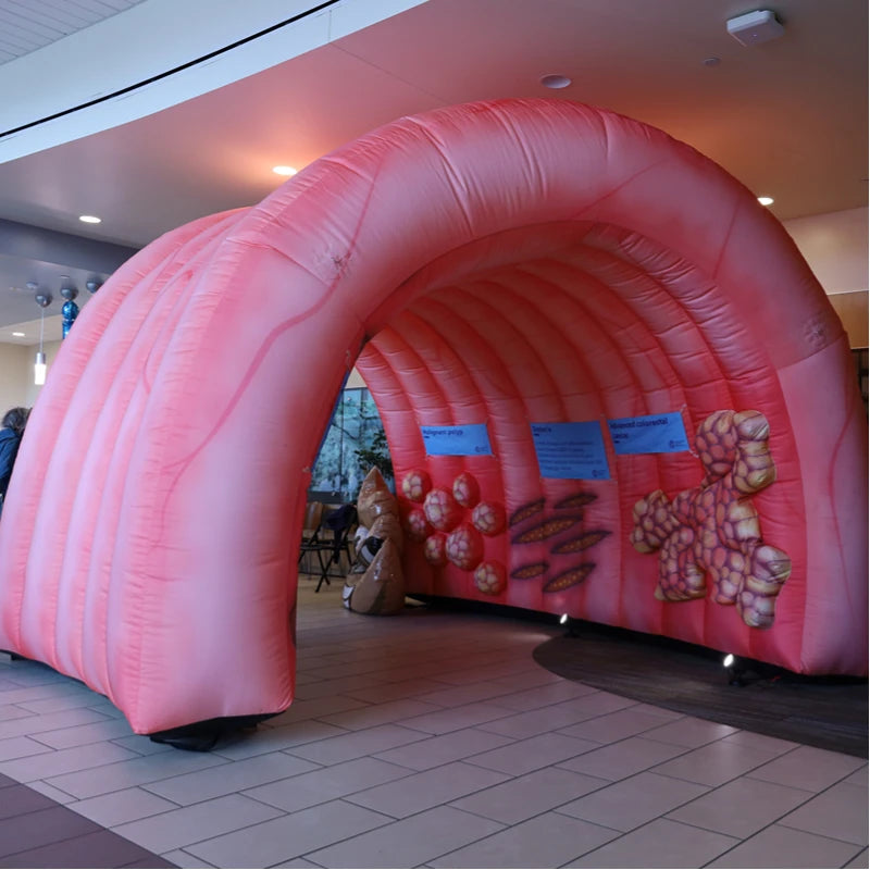 Inflatable Colon Tunnel Durable Educational Display