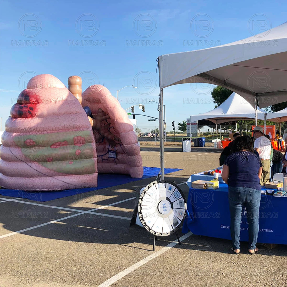 Giant Inflatable Lung Model for Medical Teaching Exhibits