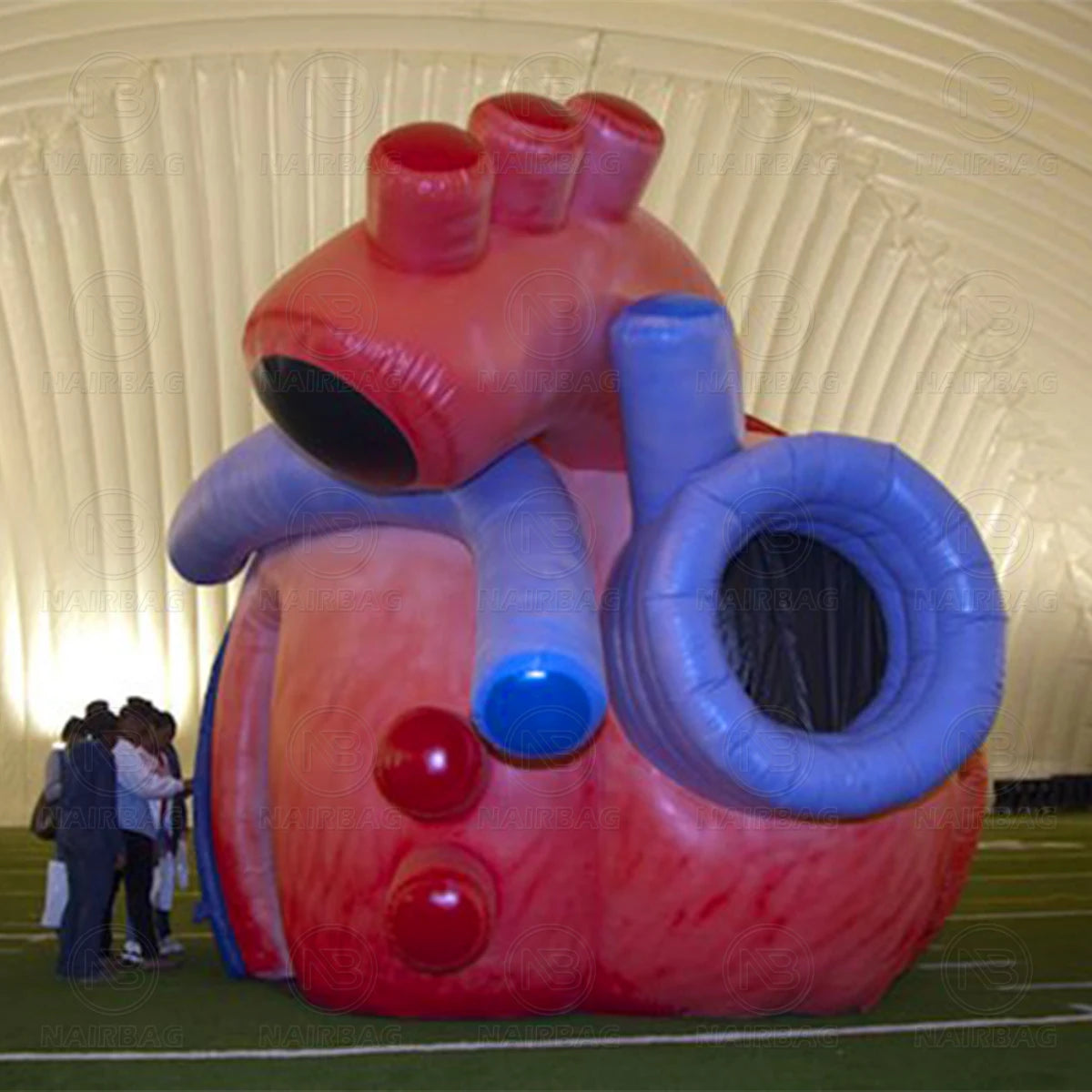 Giant Inflatable Heart Model for Medical Exhibitions