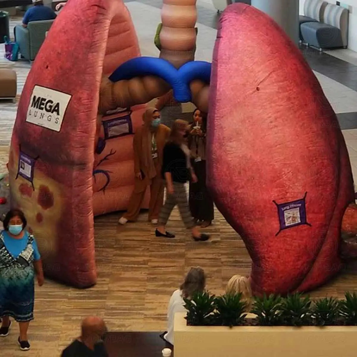 Giant Inflatable Lung Model for Medical Exhibitions