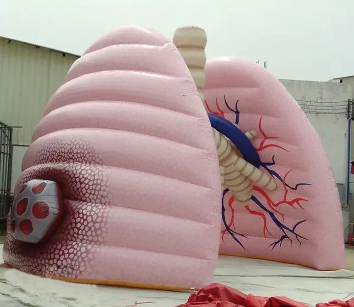 Large Inflatable Realistic Lung Model for Display