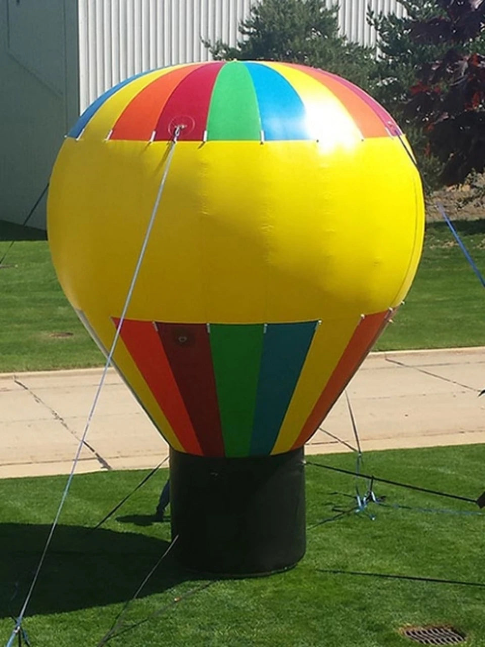 Inflatable Giant Advertising Hot Air Balloons