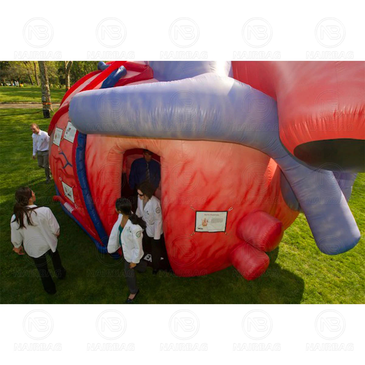 Giant Inflatable Heart Model for Medical Exhibitions