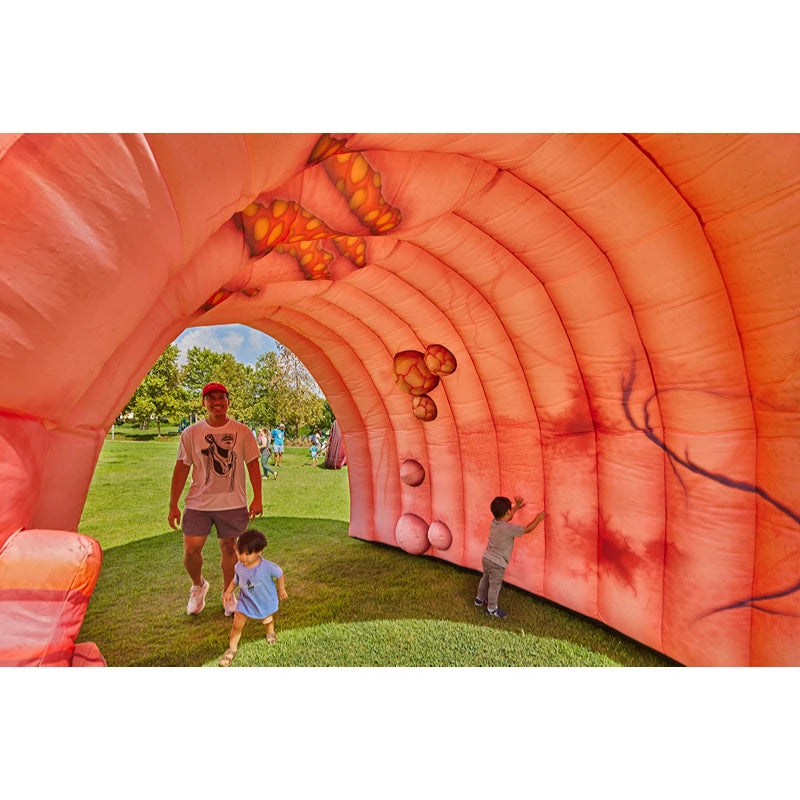 Inflatable Colon Tunnel Durable Educational Display
