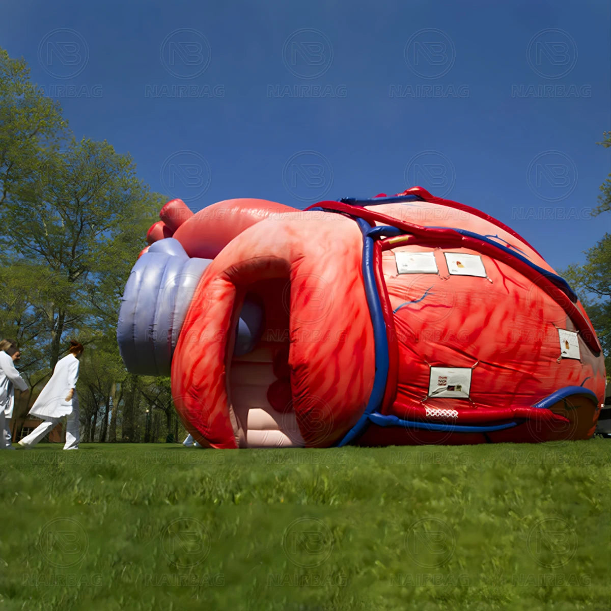 Giant Inflatable Heart Model for Medical Exhibitions