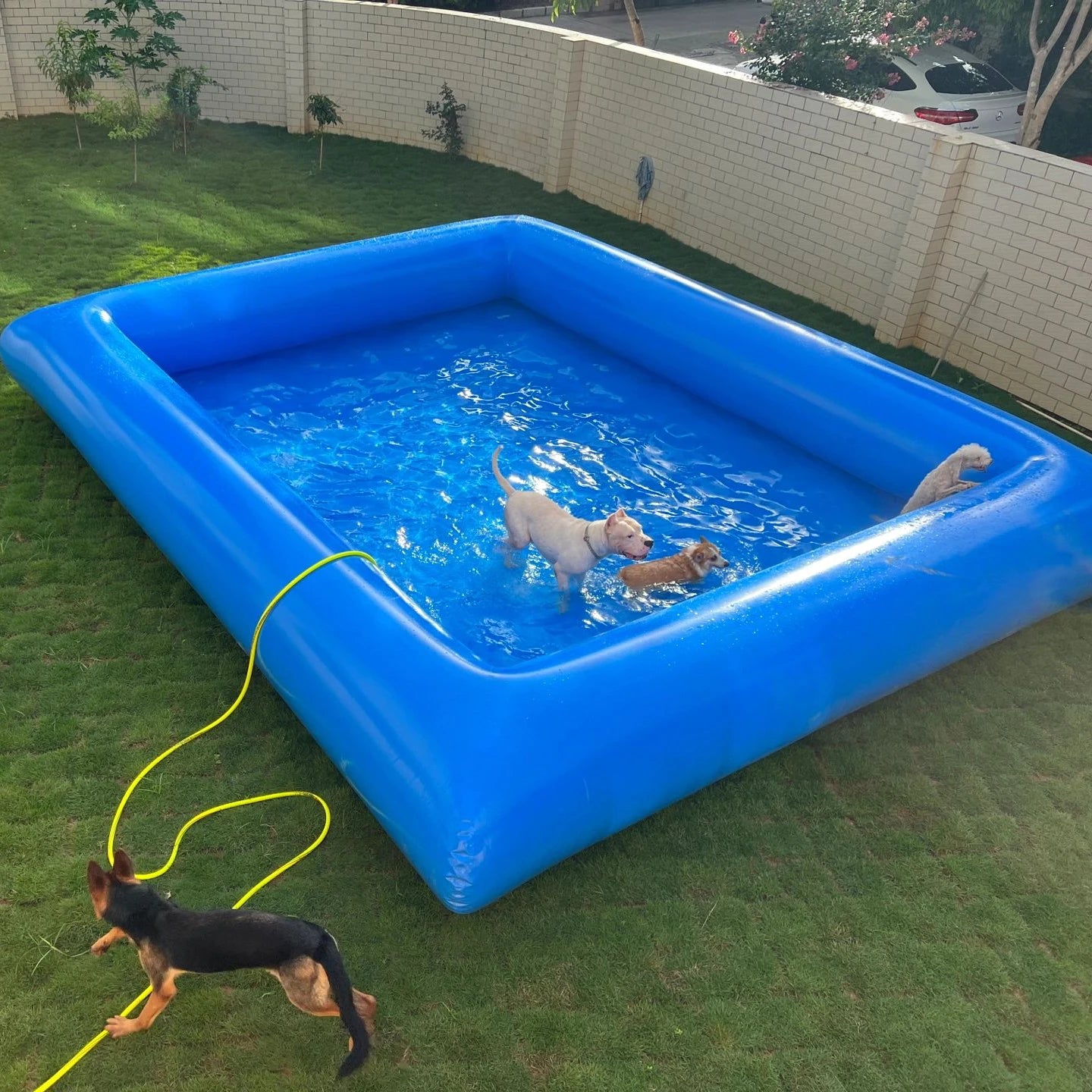 Inflatable Dog Swimming Pool 13 FT x 13 FT PVC