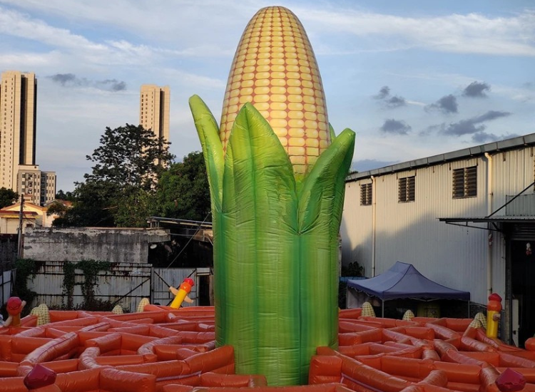 Inflatable Corn Maze Laser Game Adventure