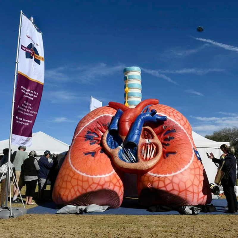 Custom Inflatable Lung and Heart Model