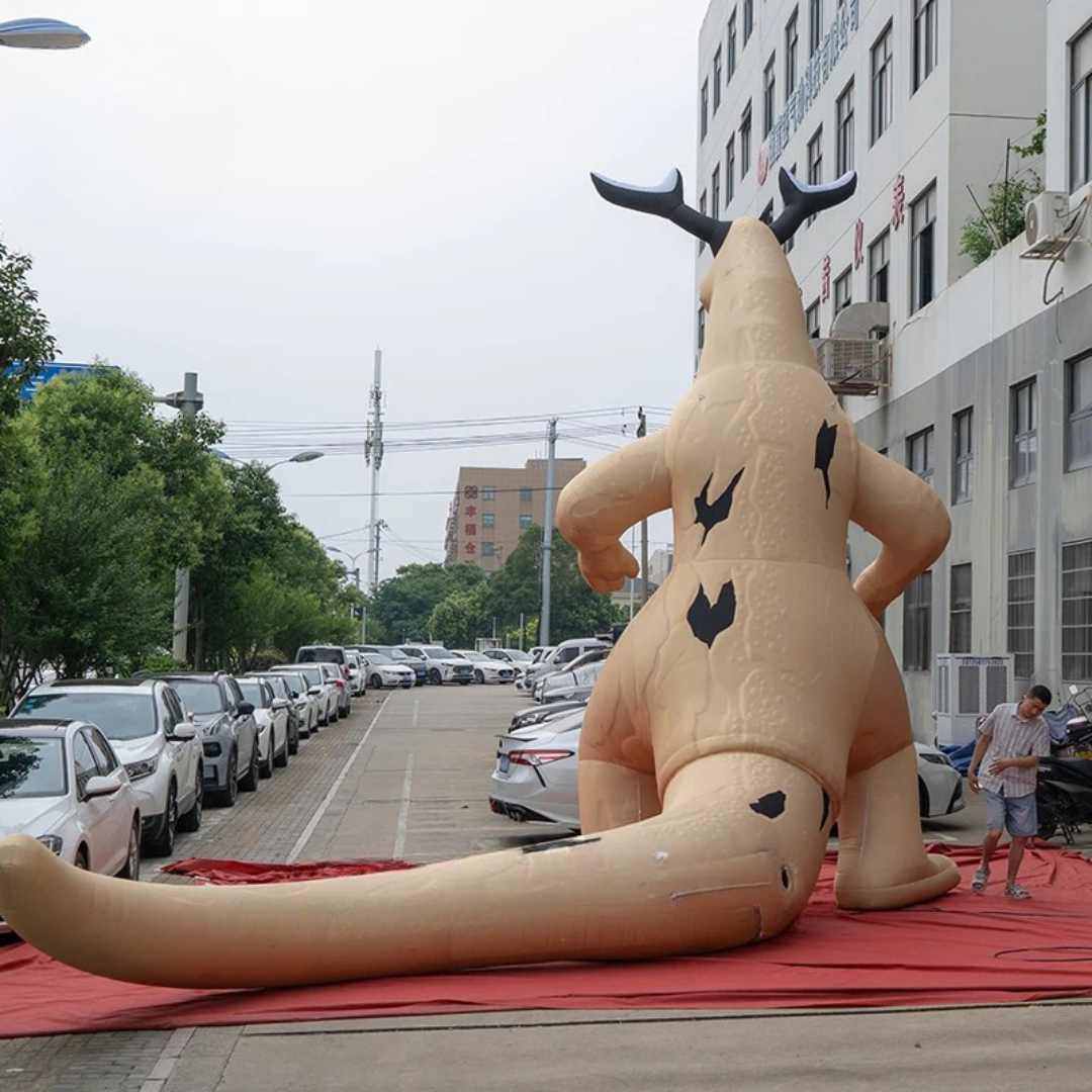 Giant Muscular Kangaroo Inflatable for Events