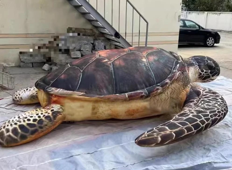 Inflatable Ocean Turtle Decoration for Events