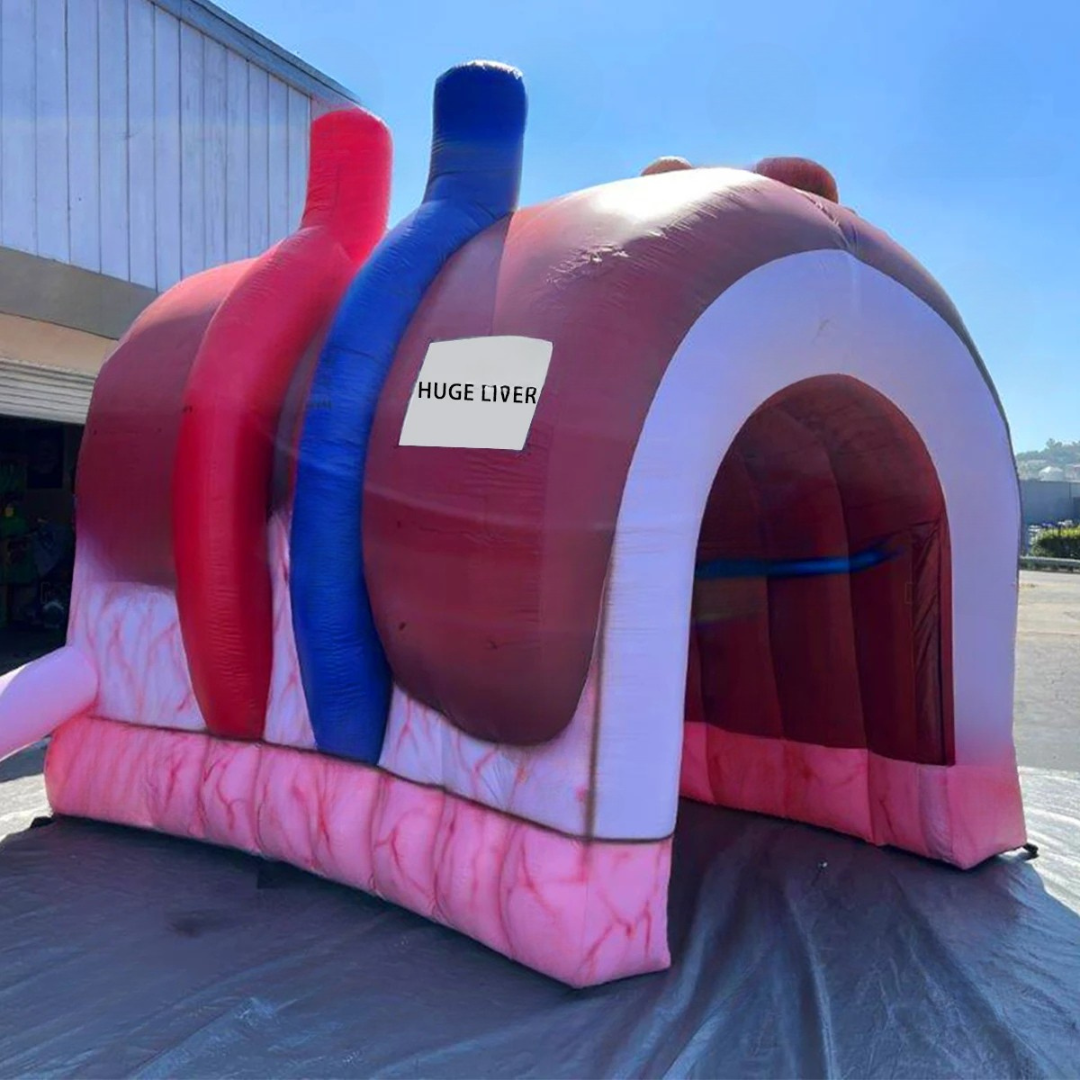 Giant Inflatable Liver Model for Medical Exhibitions