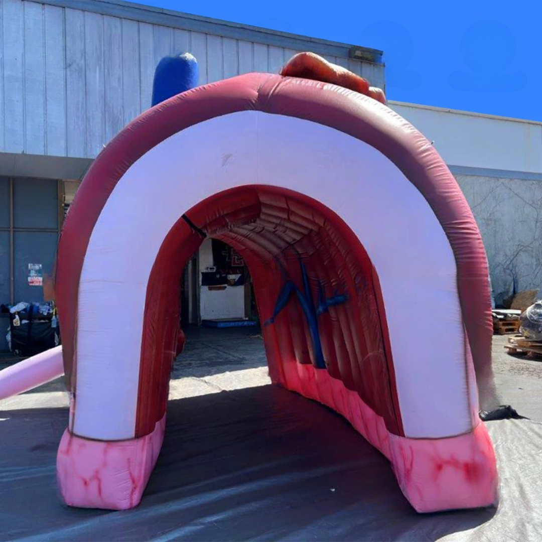 Giant Inflatable Liver Model for Medical Exhibitions