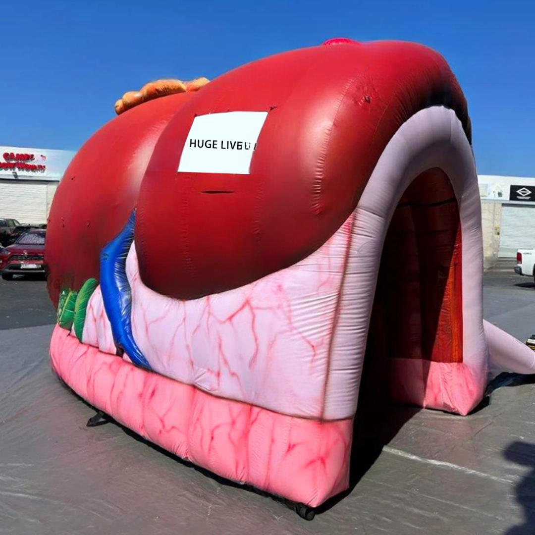 Giant Inflatable Liver Model for Medical Exhibitions