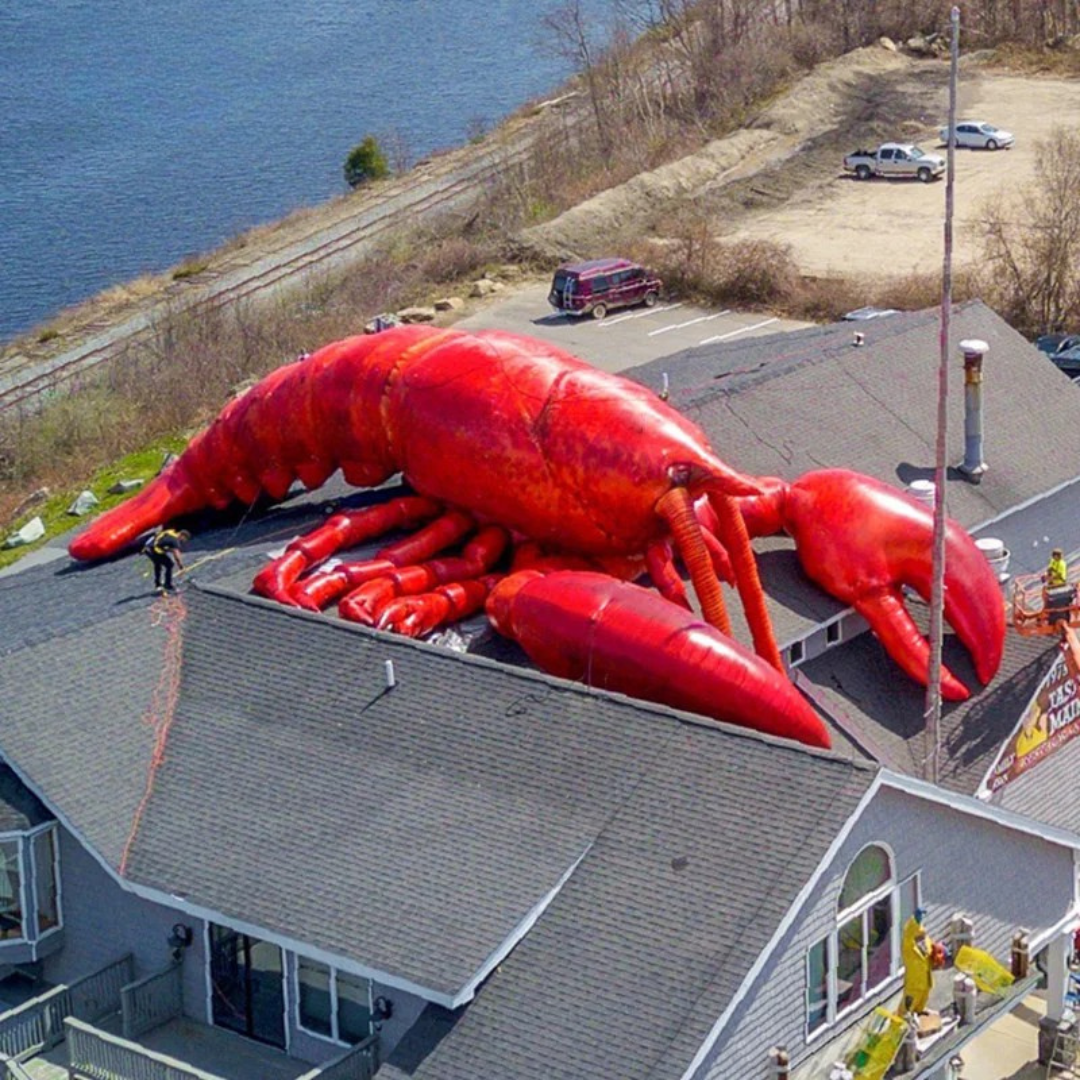 Inflatable Advertising Lobster for Outdoor Decoration