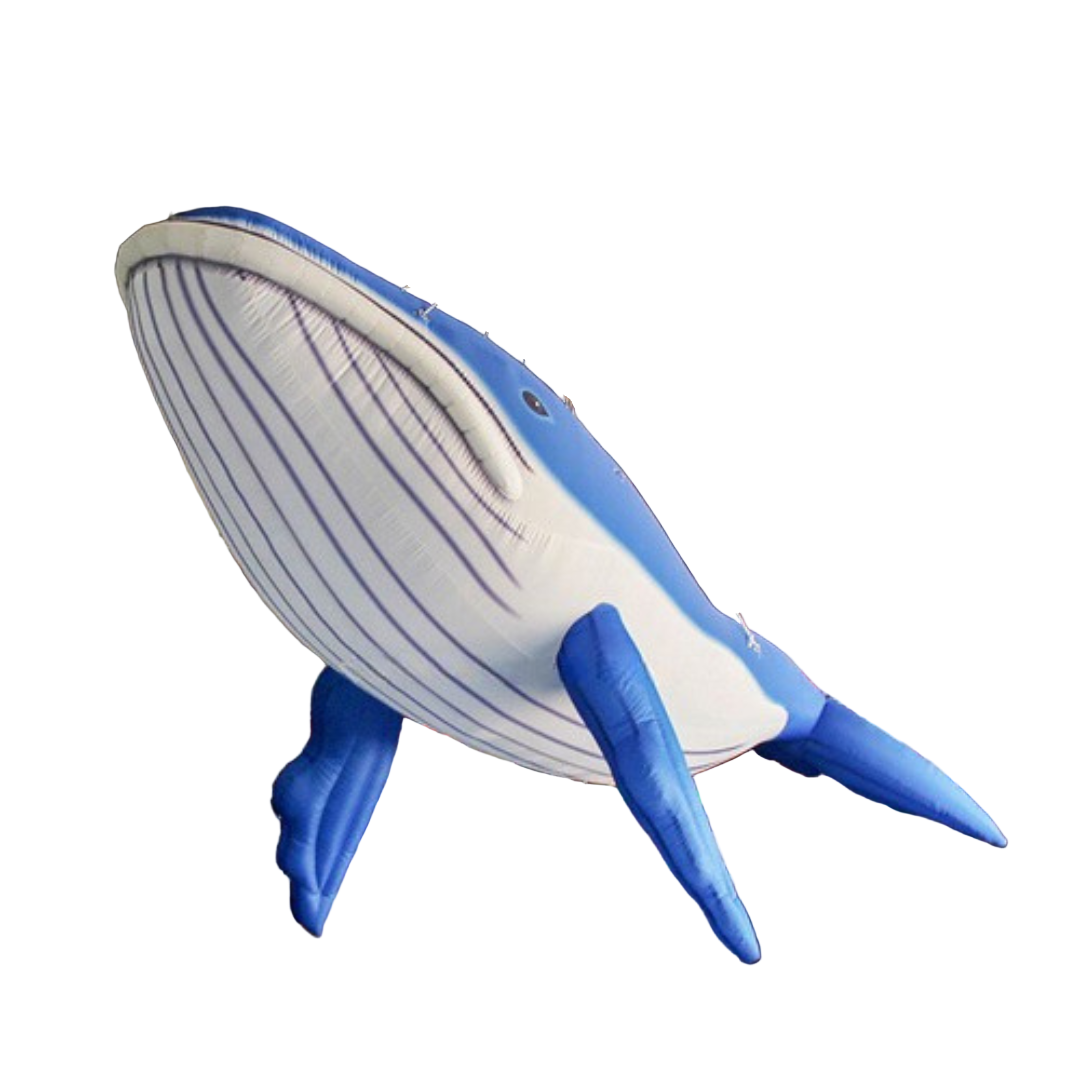 Giant Inflatable Blue Whale Model for Decor