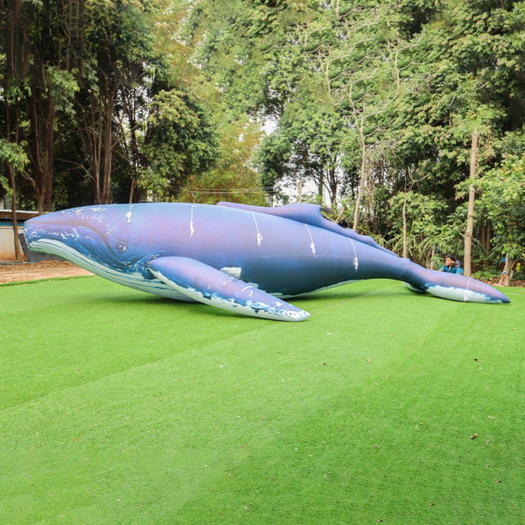 Inflatable Humpback Whale PVC Ocean Theme
