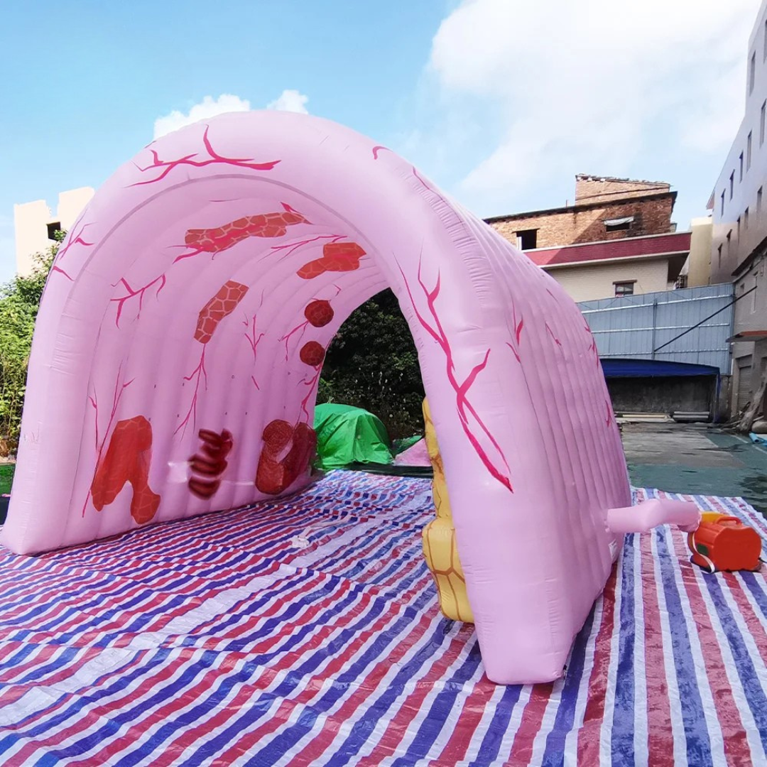 Inflatable Colon Model for Medical Exhibitions
