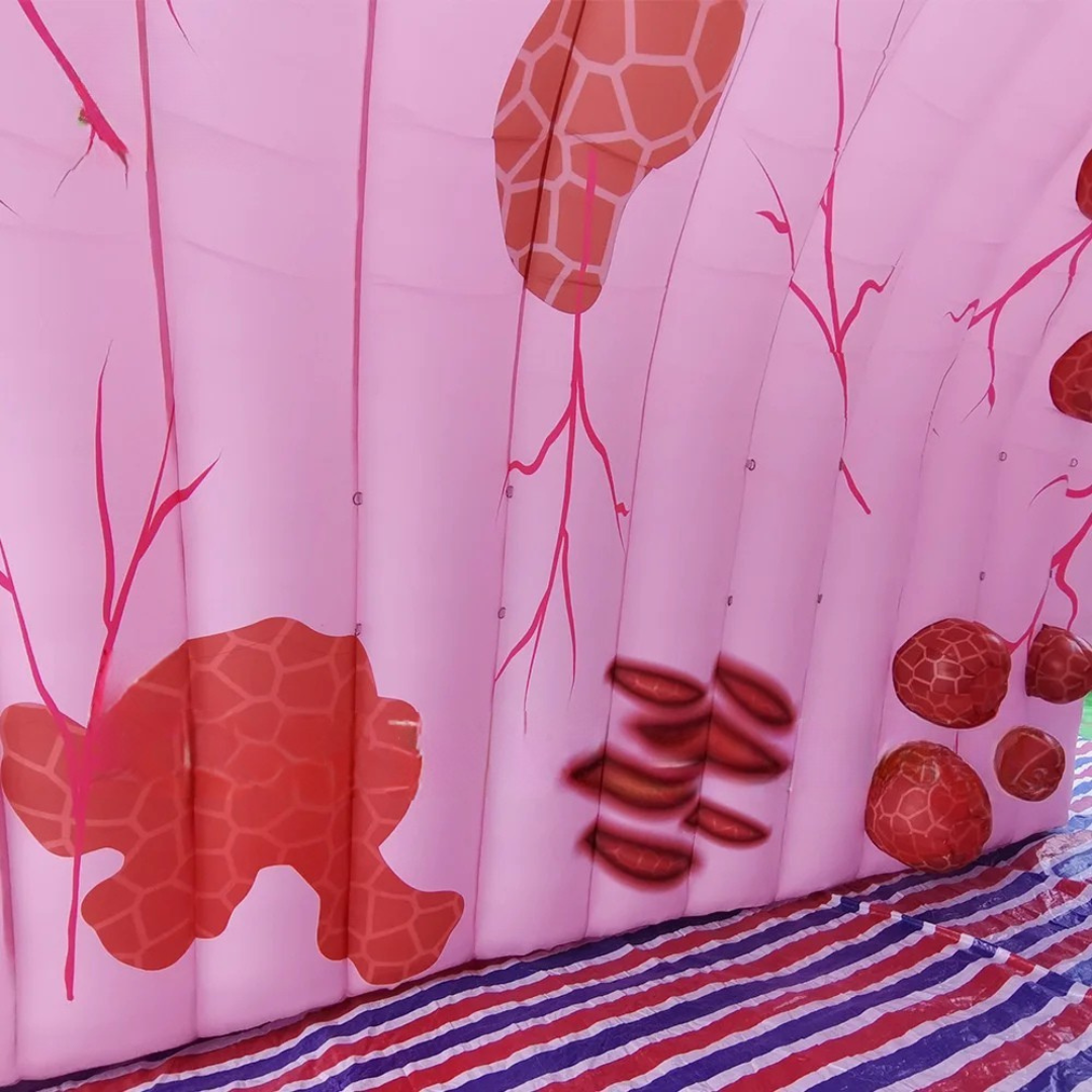 Inflatable Colon Model for Medical Exhibitions