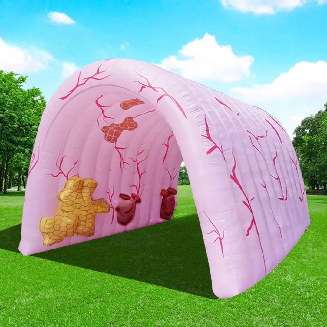 Inflatable Colon Model for Medical Exhibitions