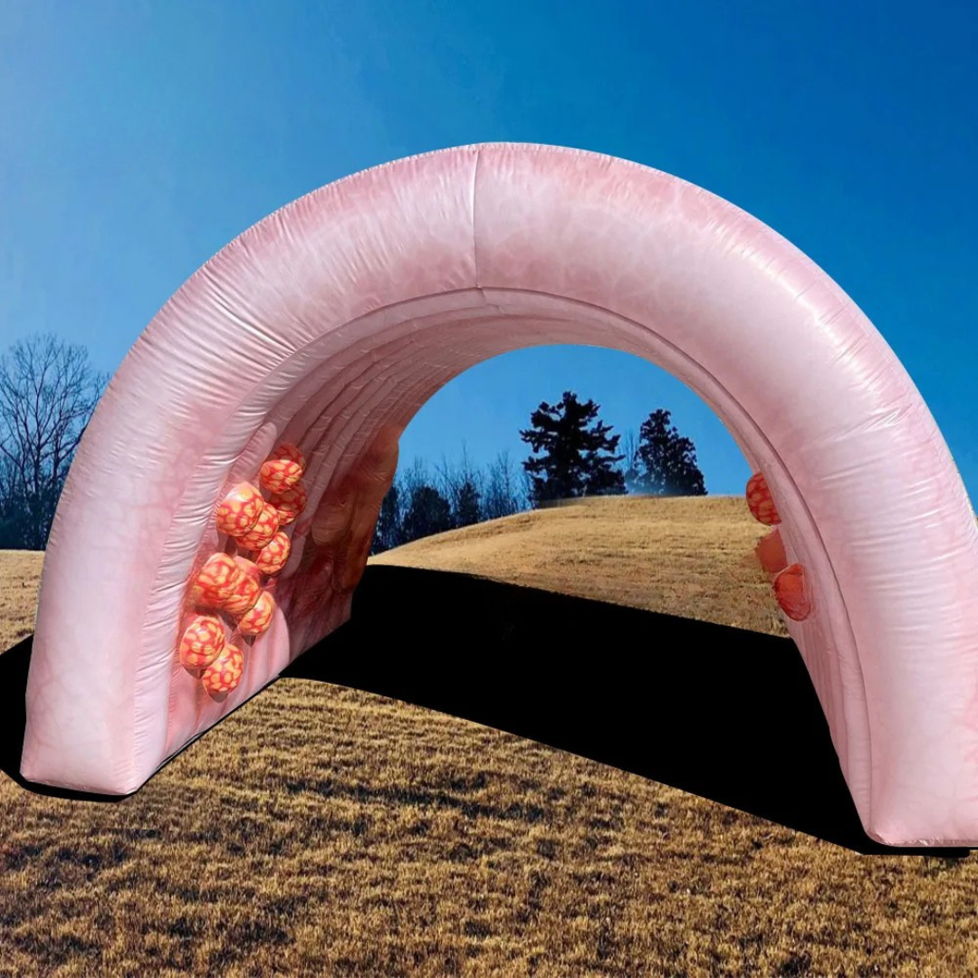 Giant Inflatable Colon Model for Medical Education