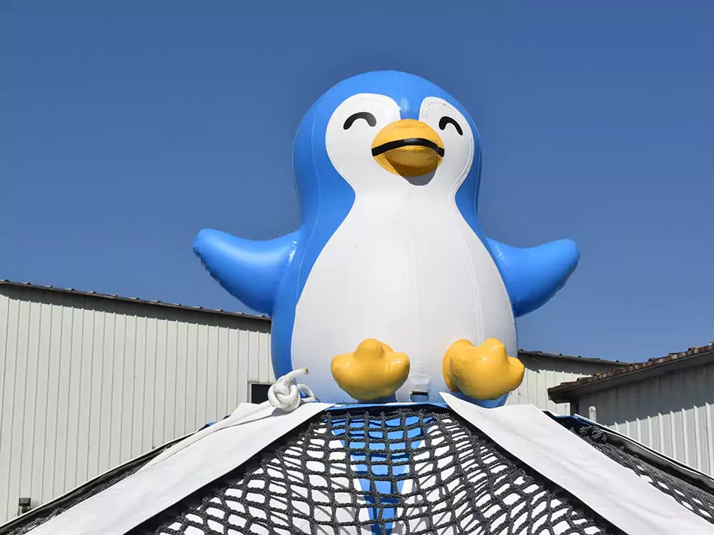 Inflatable Water Course with Climbing Net