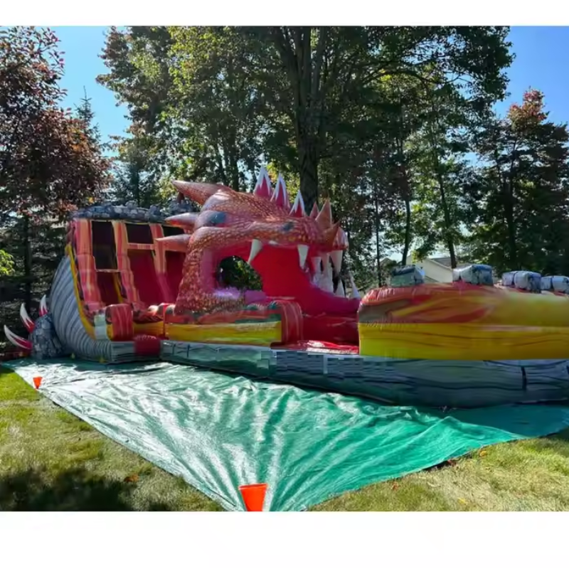 Dragon Splash Inflatable Water Slide