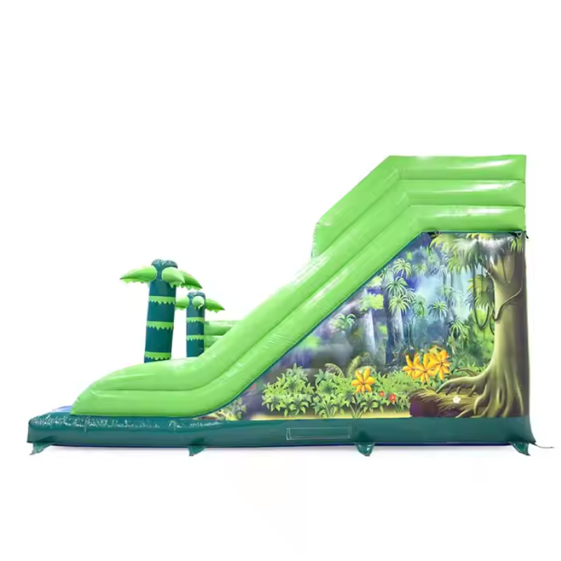 Custom Inflatable Water Slide for Adults