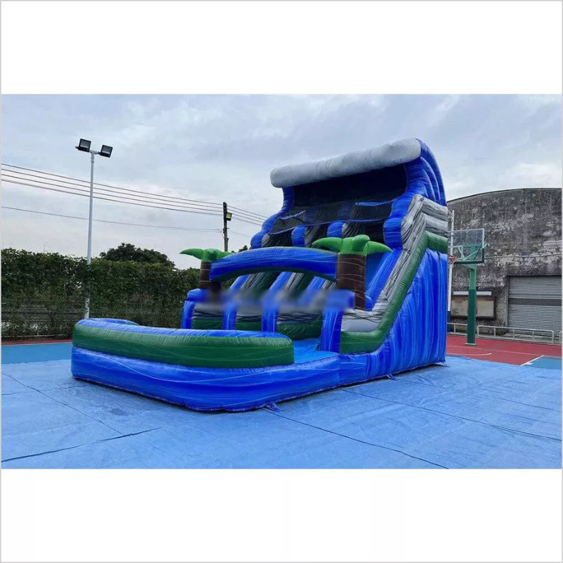 Giant Inflatable Water Slide Bounce House