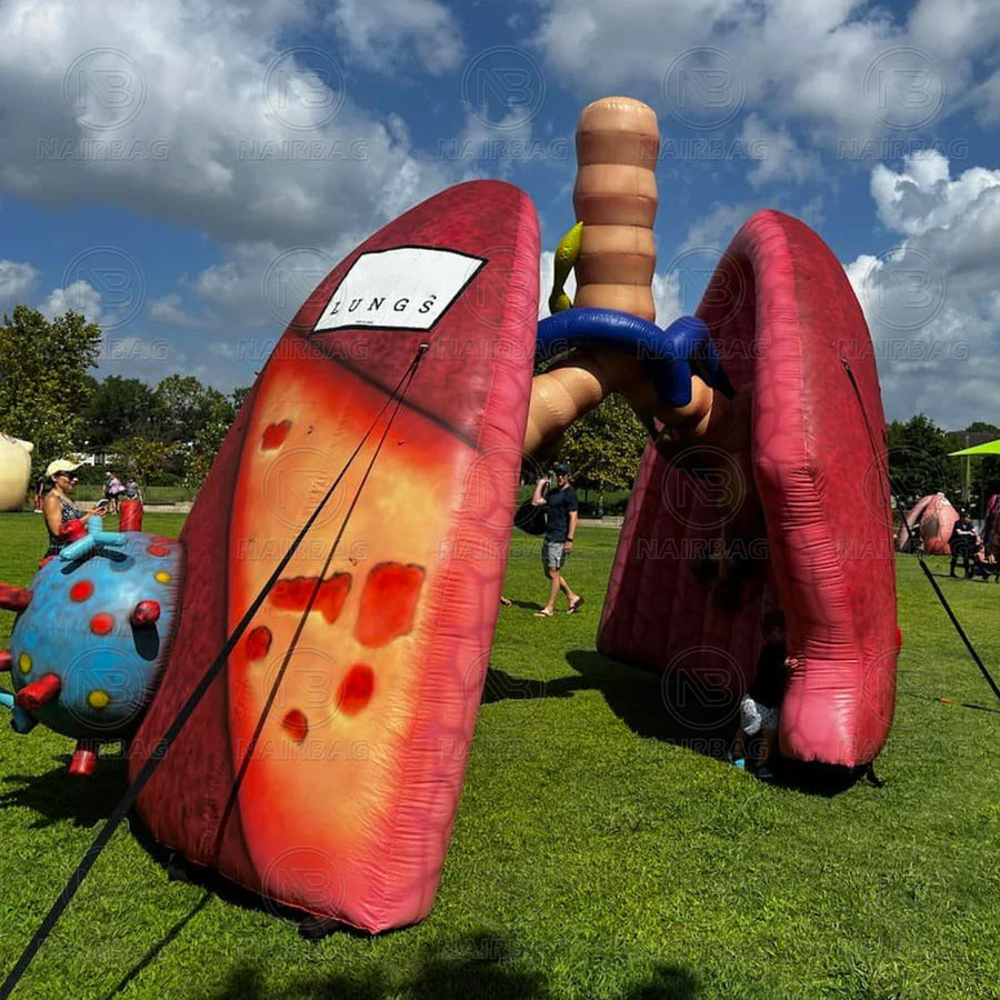 Modelo Gigante Hinchable de Pulmón para Exhibiciones Médicas