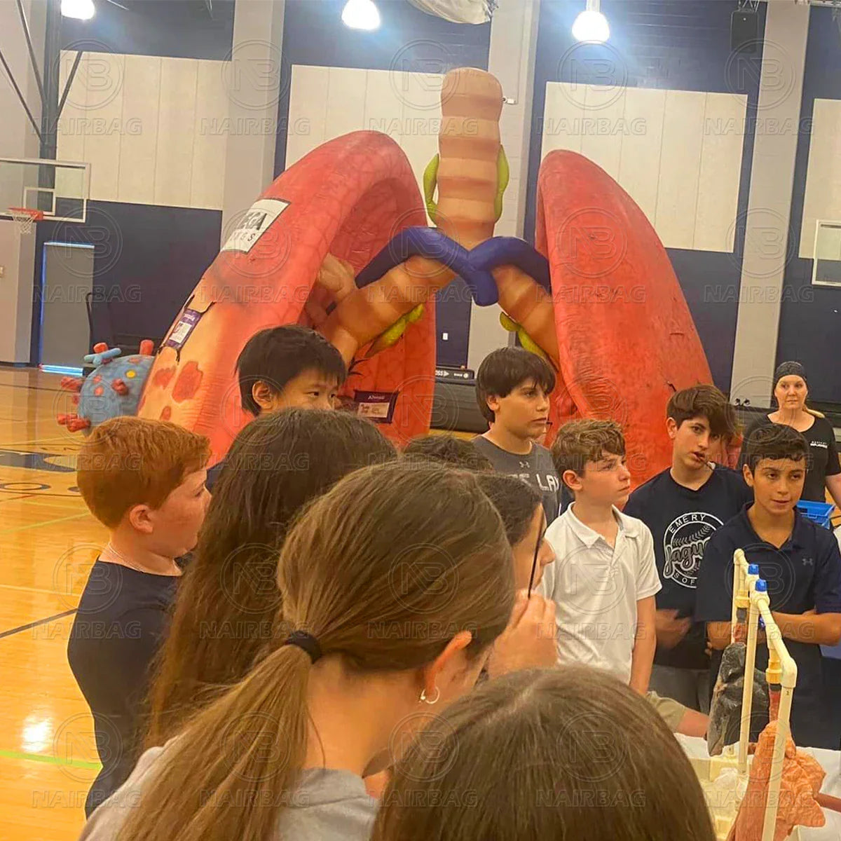 Giant Inflatable Lung Model for Medical Exhibitions