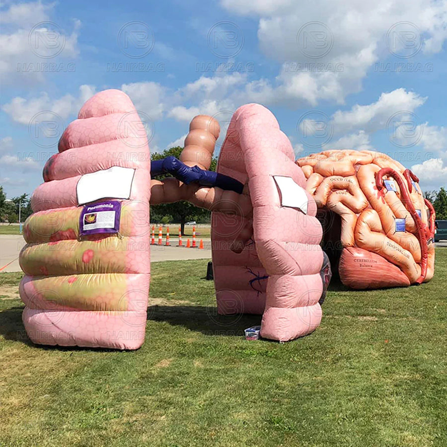 Modelo gigante inflable de pulmón para exposiciones de enseñanza médica