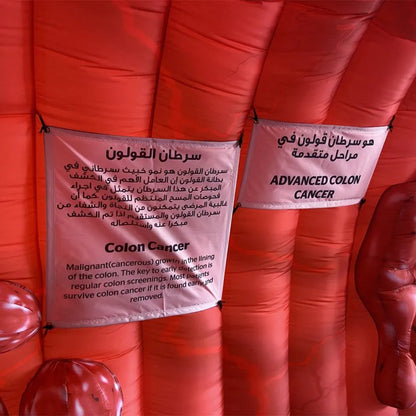 Inflatable Colon Tunnel Large Intestine Walk Through 16.5FT