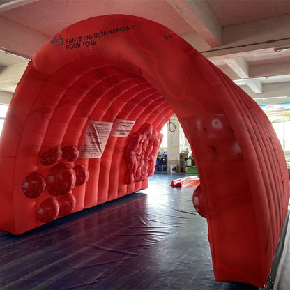 Inflatable Colon Tunnel Large Intestine Walk Through 16.5FT